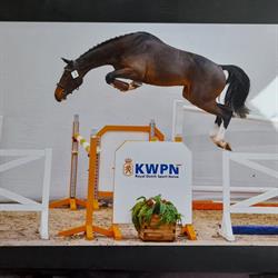 Portella Hoeve, Beilen openingstijden