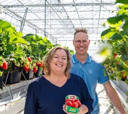 Kok Aardbeien, Zwaagdijk-Oost openingstijden