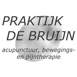 Acupunctuurnijmegen.nl Praktijk de Bruijn, Nijmegen openingstijden