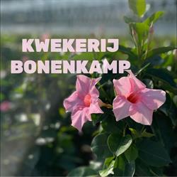 E. Leenders Kwekerij Bonenkamp, Oosterhout openingstijden