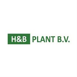 Boomkwekerij H. & B. Plant Bv, Randwijk openingstijden