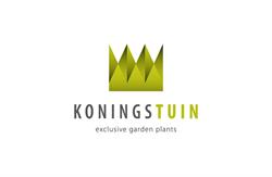 Boomkwekerij Koningstuin BV, Helenaveen openingstijden
