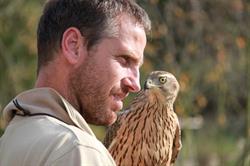Dutch Hunting Falcons, Langenboom openingstijden