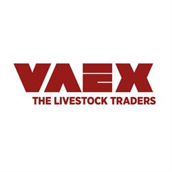 Vaex Group B.v., Reek openingstijden