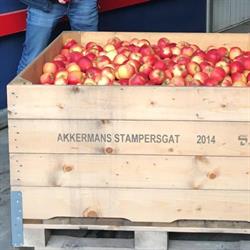 Fruitteeltbedrijf Akkermans, Stampersgat openingstijden