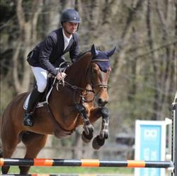 Hoeve Nederheide, Schijf openingstijden