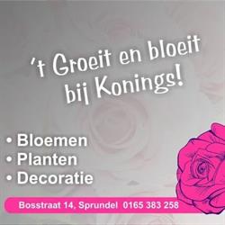 Konings bloemen&planten, Sprundel openingstijden