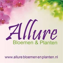 Allure Bloemen en Planten, Tilburg openingstijden