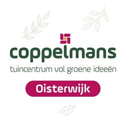 Coppelmans Oisterwijk B.v., Heukelom openingstijden