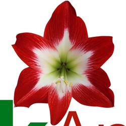 Park Amaryllis V.o.f., Heiloo openingstijden