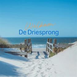 Firma De Driesprong, Domburg openingstijden