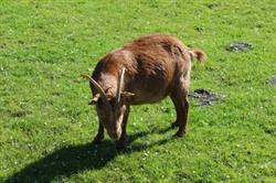 Stichting Wijkboerderij d'Oosterhout, Alkmaar openingstijden