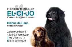 El-Ci-Jo, Terneuzen openingstijden