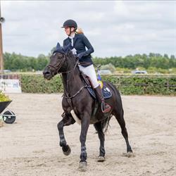 Stoeterij - Zorgboerderij Csi Stables, Zuidschermer openingstijden