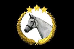 Paardenhouderij De Feijter, Axel openingstijden