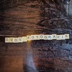 Dick van der Veer Fotografie (GEEN PASFOTO"S!), Zierikzee openingstijden