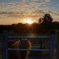 Minicamping 'de Eschdoorn', Renesse openingstijden