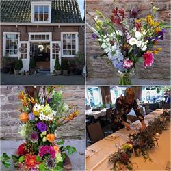 De Sterre, Vrouwenpolder openingstijden