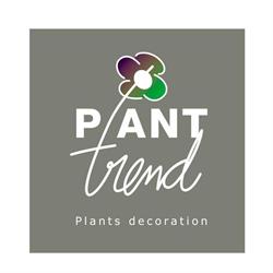 Plant Trend 2009 B.v., Aalsmeer openingstijden