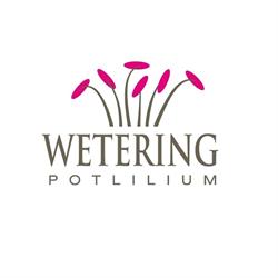 Wetering Potlilium B.v., Den Hoorn openingstijden
