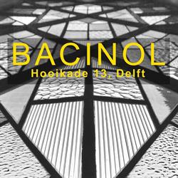 Bacinol B.v., Delft openingstijden