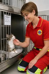 Stichting Dierenambulance De Wijs, 's-Gravenhage openingstijden