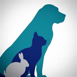 Dierenkliniek Thorbeckelaan, 's-Gravenhage openingstijden