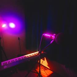 Pop Factory, 's-Gravenhage openingstijden