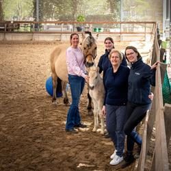 Manege De Wildhoef, 's-Gravenhage openingstijden