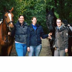 Manege de Wildhoef B.v., 's-Gravenhage openingstijden