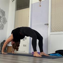 Massage- en Shiatsupraktijk Art of Balance, Wassenaar openingstijden