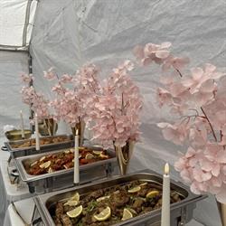 Restaurant Lasanie, 's-Gravenhage openingstijden
