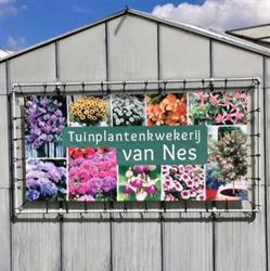 Tuinplantenkwekerij van Nes, Hendrik-Ido-Ambacht openingstijden