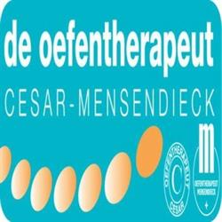 Praktijk voor Oefentherapie Cesar, Beneden-Leeuwen openingstijden