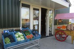 Tuinbouwbedrijf Gebr. de Gier V.o.f., Stolwijk openingstijden