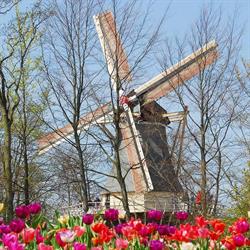Handelsonderneming Van der Meulen VOF, Schoonhoven openingstijden