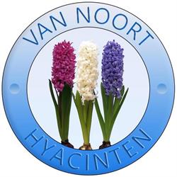 Van Noort Hyacinten, Voorhout openingstijden