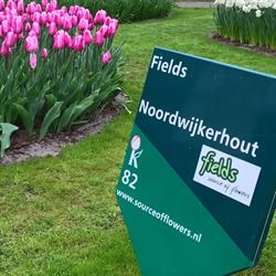 Fields, Source of Flowers, Noordwijkerhout openingstijden