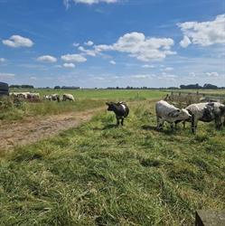 camping `De Freek`, Hoogmade openingstijden