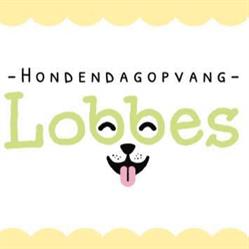 Hondendagopvang, Pension & Hondenuitlaatservice Lobbes, Katwijk openingstijden
