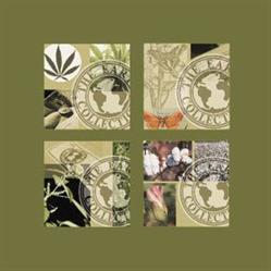 J.J. Spaan / The Earth Collection, Leiden openingstijden