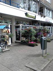 Dierenspeciaalzaak Siekman, Emmen openingstijden