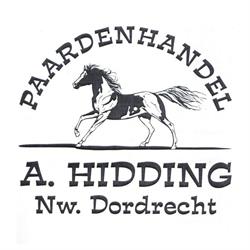 Paardenhandel A. Hidding, Nieuw-Dordrecht openingstijden