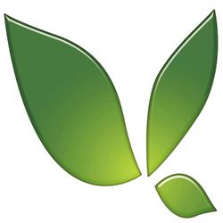 T. van Wetten, Noordwijkerhout openingstijden