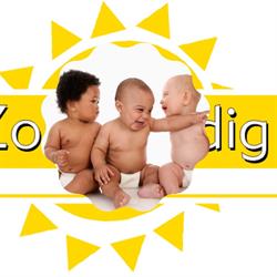 Zorgorganisatie Zorg-Vuldig B.v., Leiderdorp openingstijden