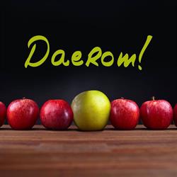 Daerom B.v., Zoeterwoude openingstijden