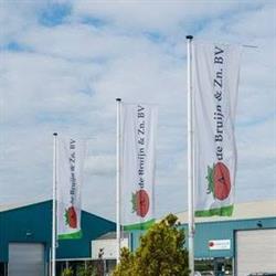 A. de Bruijn en Zn. B.v., De Lier openingstijden