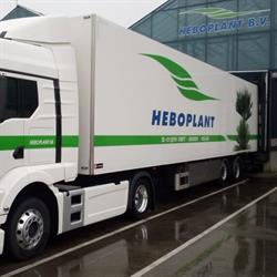 Heboplant, Maasdijk openingstijden