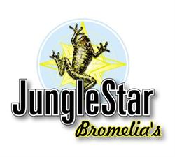 Junglestar B.v., 's-Gravenzande openingstijden