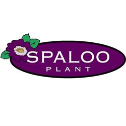 Spaloo Plant V.o.f., 's-Gravenzande openingstijden